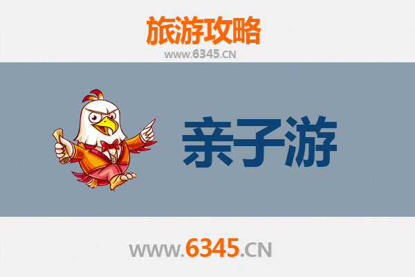 郑州管城回族亲子游攻略：探索历史与文化的家庭乐趣
